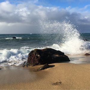 Meet your Posher, Madison